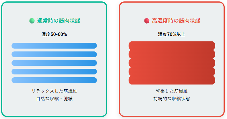 湿度と坐骨神経痛